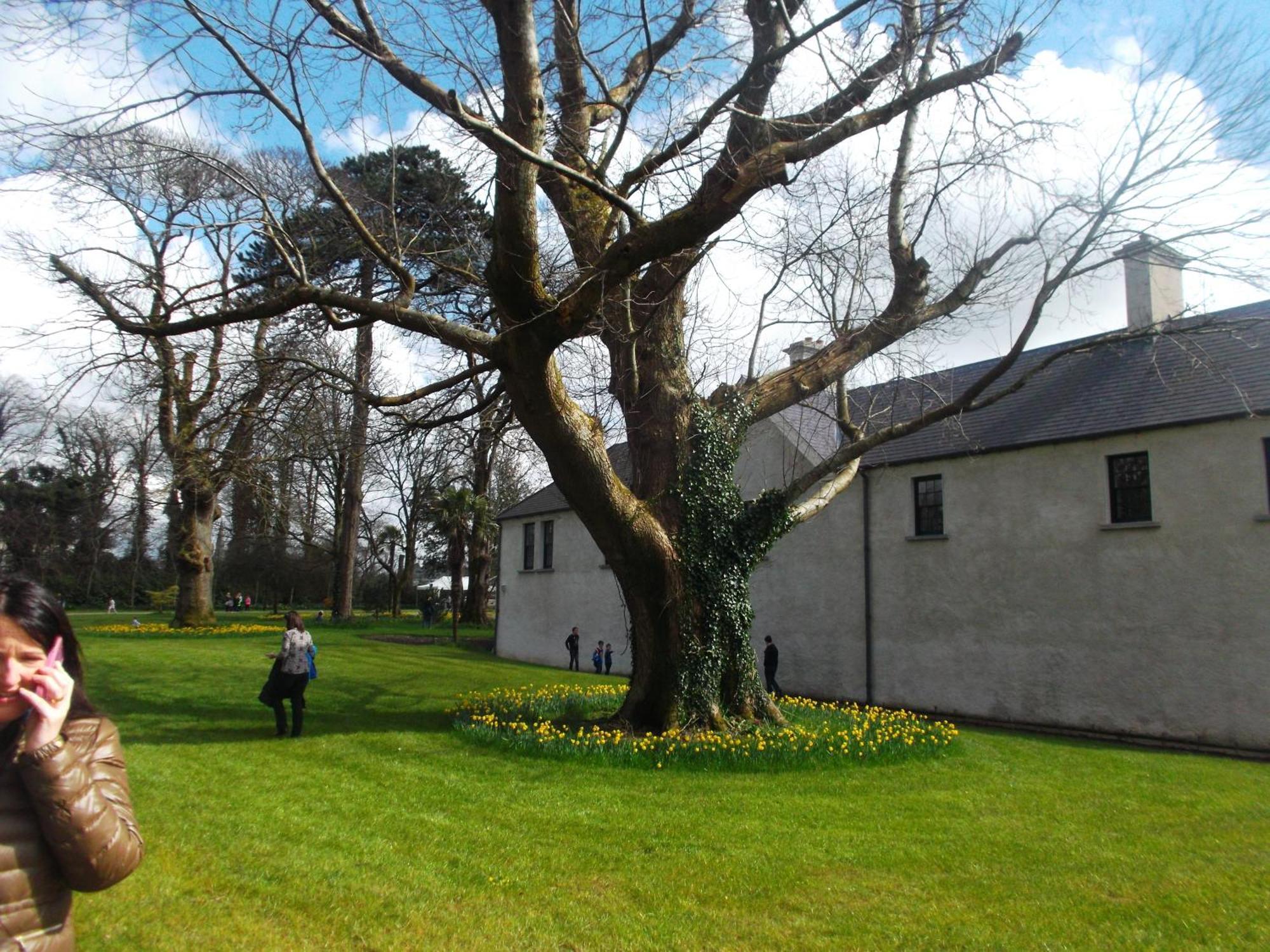 Kerry Holiday Homes At The Killarney Holiday Village 외부 사진